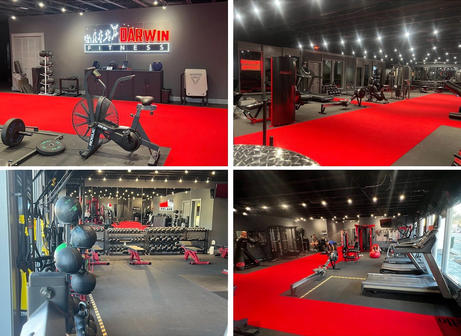gym-collage-transparent darwin fitness, college park private gym designed exclusively for personal training